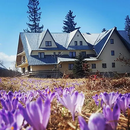 Pod Kopiencem * Zakopane