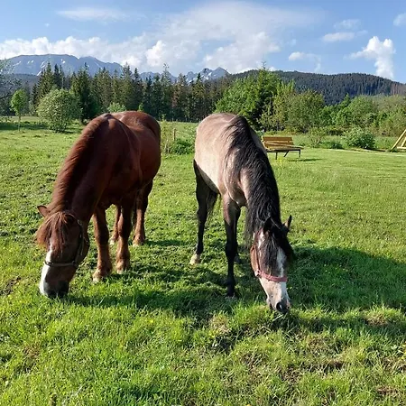Pod Kopiencem Nocleg ze śniadaniem Zakopane